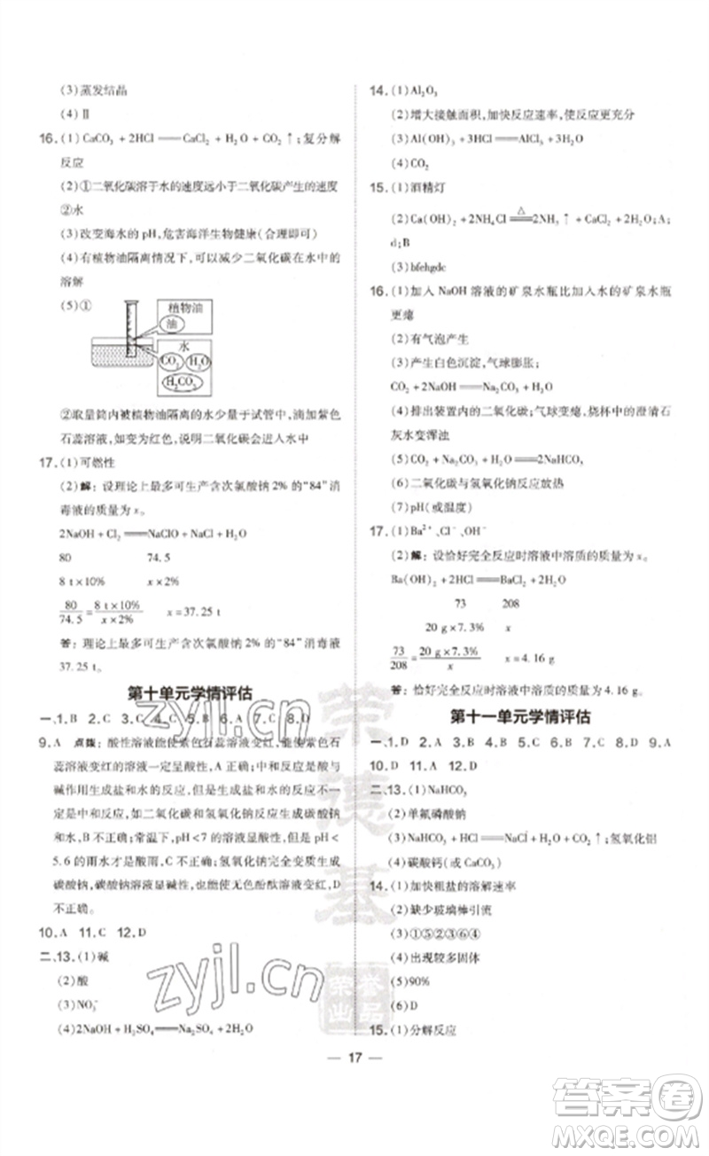 安徽教育出版社2023點撥訓(xùn)練九年級化學(xué)下冊人教版安徽專版參考答案