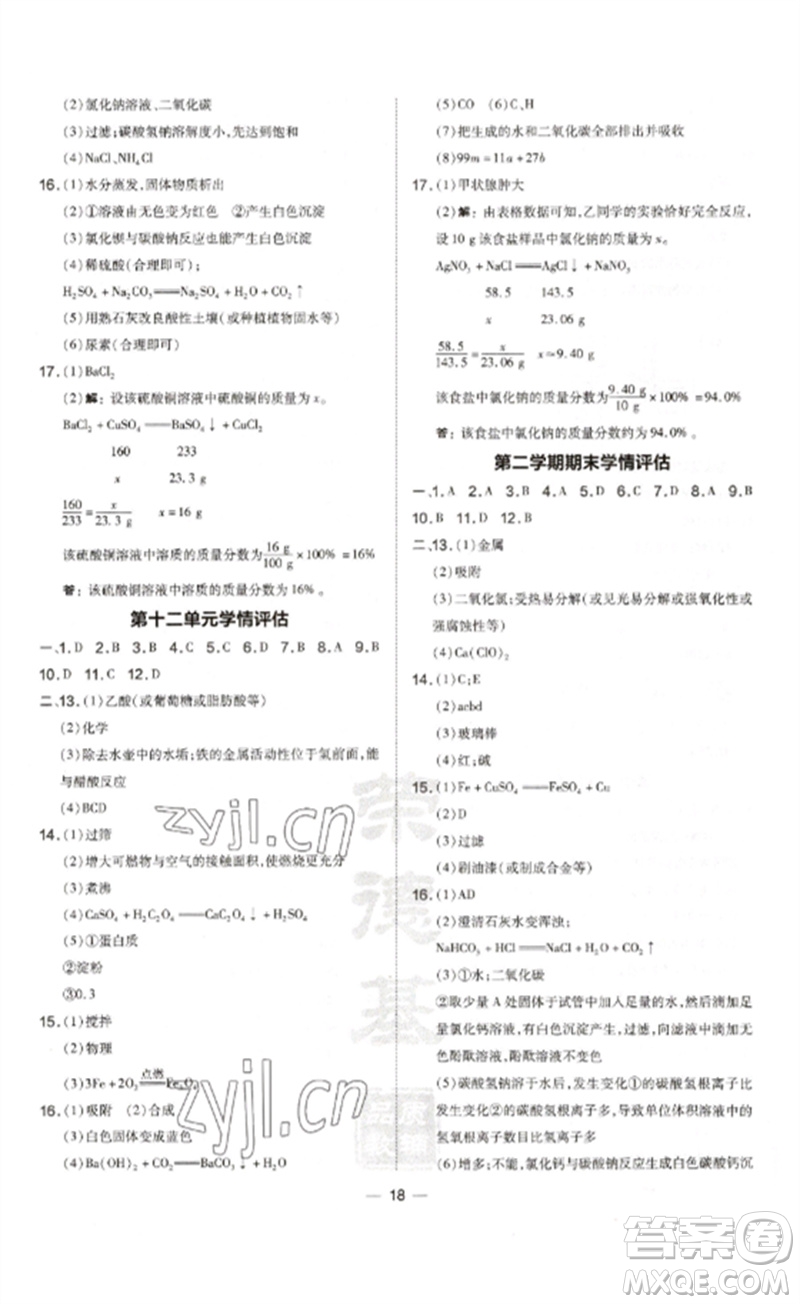 安徽教育出版社2023點撥訓(xùn)練九年級化學(xué)下冊人教版安徽專版參考答案