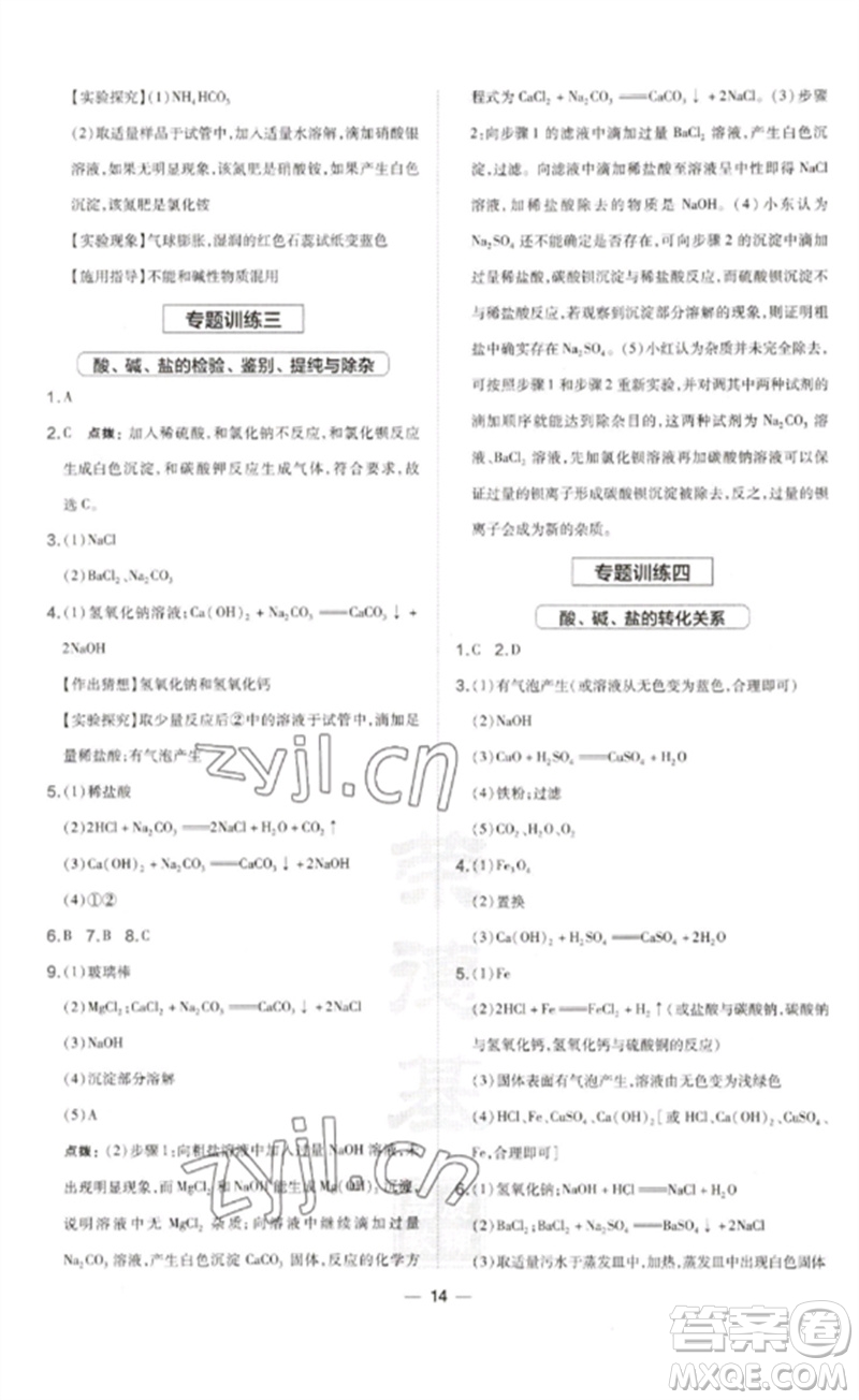 山西教育出版社2023點(diǎn)撥訓(xùn)練九年級化學(xué)下冊滬教版參考答案