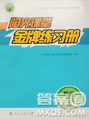 人民教育出版社2023陽(yáng)光課堂金牌練習(xí)冊(cè)六年級(jí)下冊(cè)數(shù)學(xué)人教版參考答案