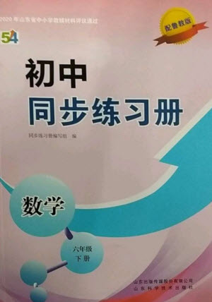 山東科學技術(shù)出版社2023初中同步練習冊六年級數(shù)學下冊魯教版五四制參考答案