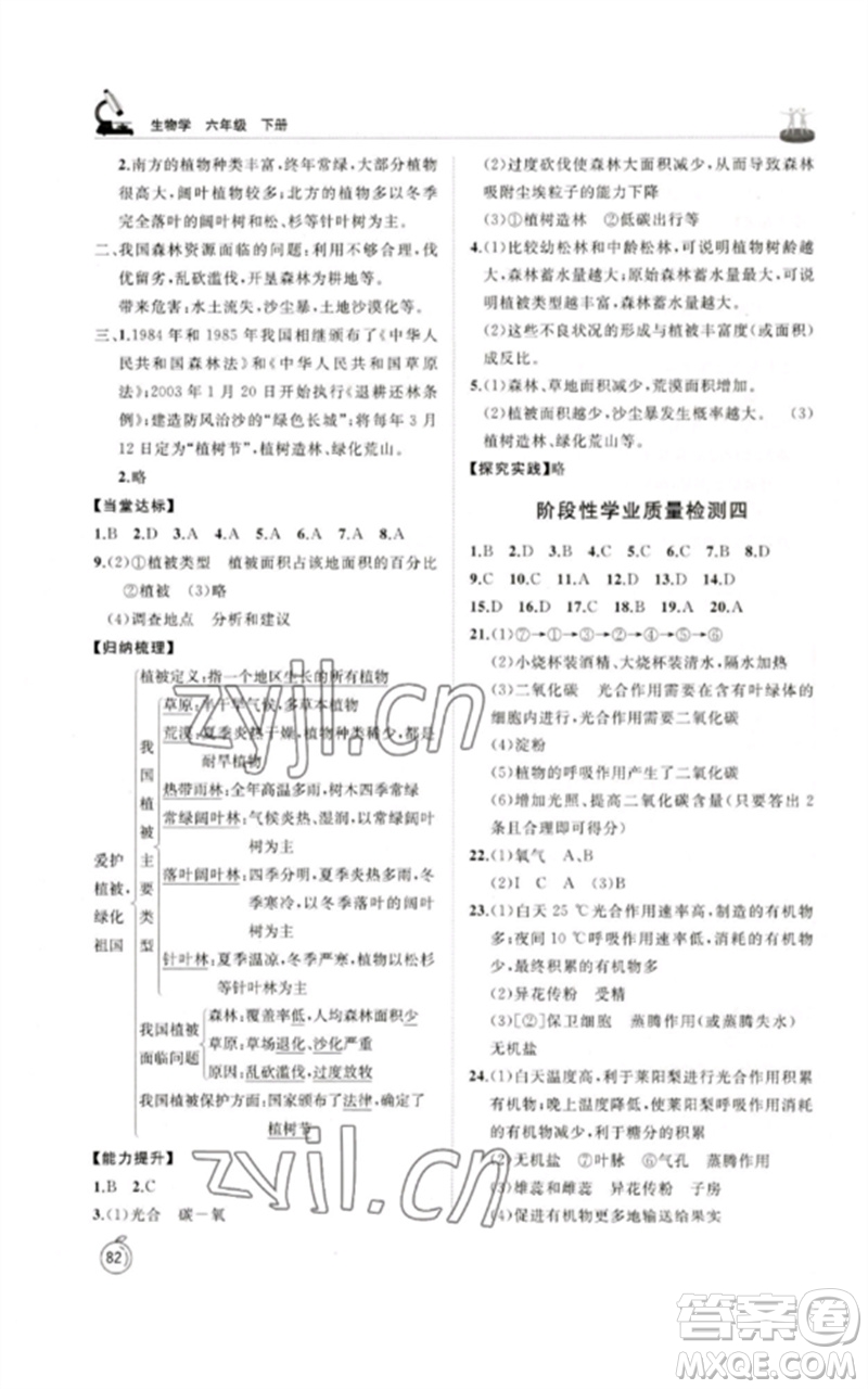 山東友誼出版社2023初中同步練習(xí)冊六年級生物下冊魯科版五四制參考答案