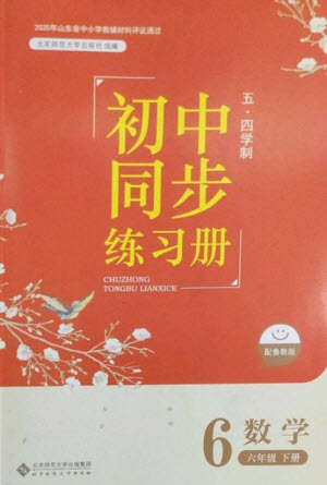 北京師范大學出版社2023初中同步練習冊六年級數(shù)學下冊魯教版五四制參考答案