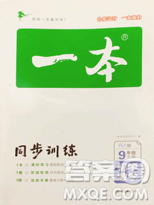 湖南教育出版社2023一本同步訓(xùn)練九年級下冊數(shù)學(xué)人教版參考答案