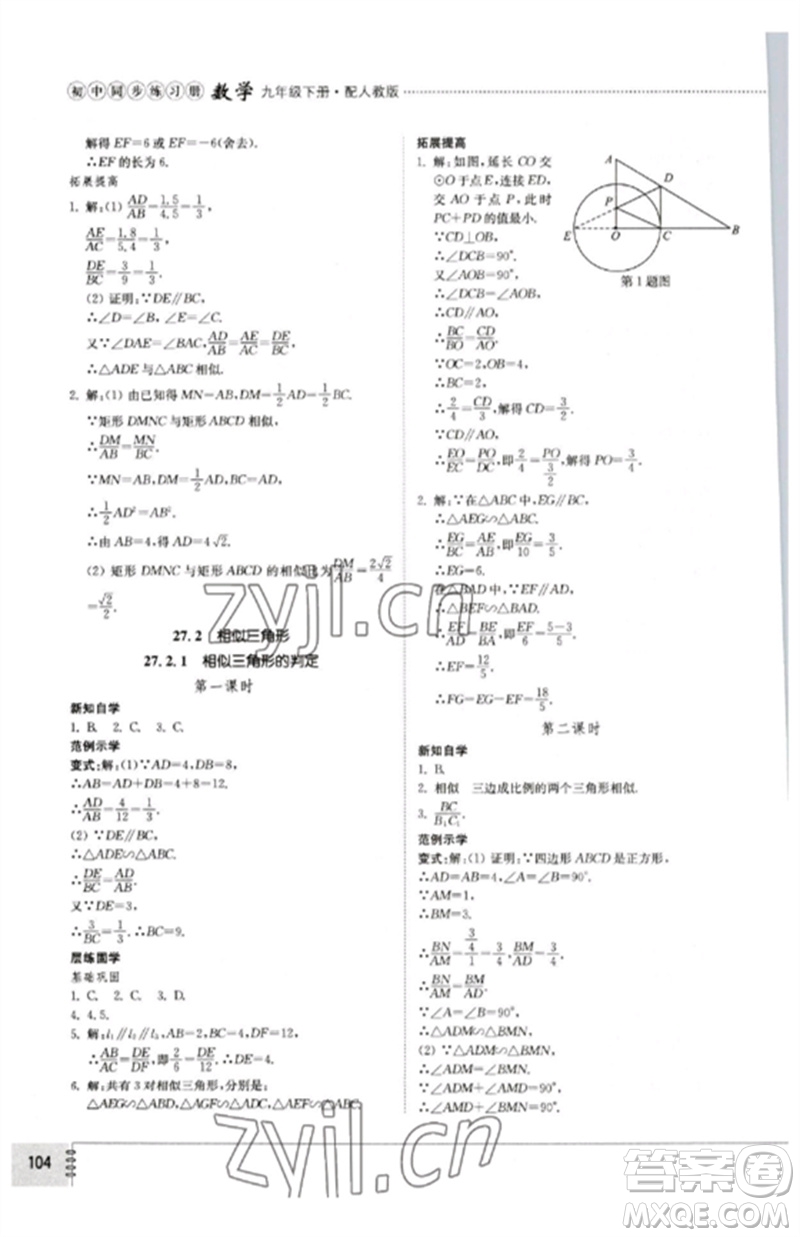 山東教育出版社2023初中同步練習(xí)冊(cè)九年級(jí)數(shù)學(xué)下冊(cè)人教版參考答案