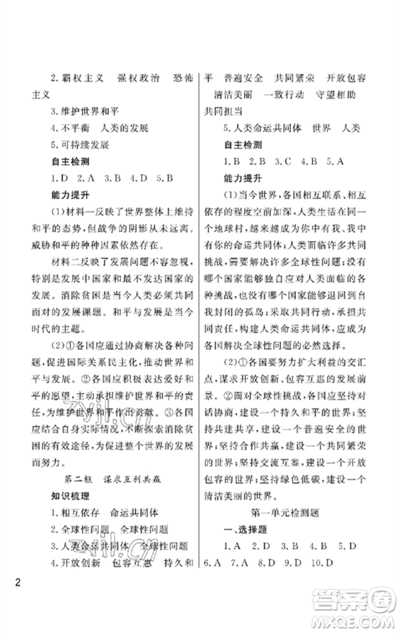 武漢出版社2023智慧學習天天向上課堂作業(yè)九年級道德與法治下冊人教版參考答案