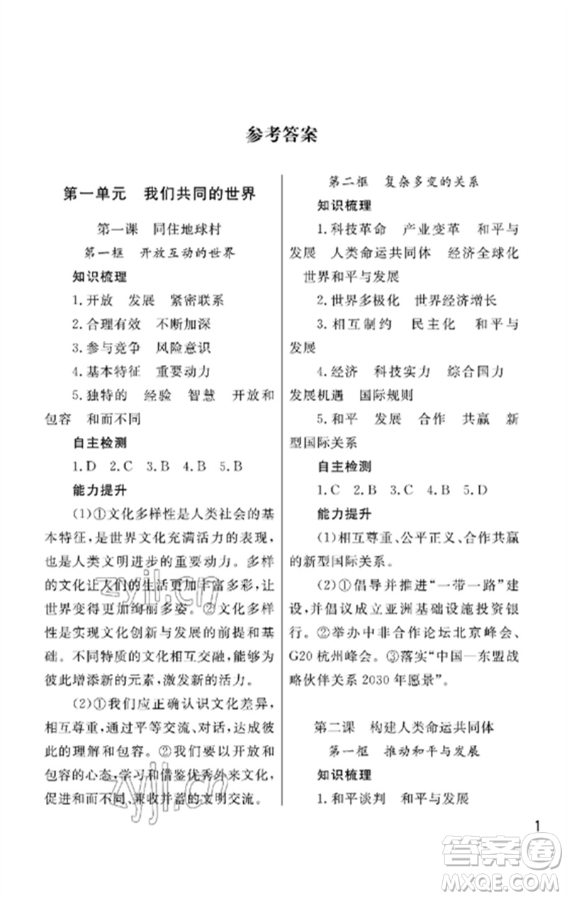 武漢出版社2023智慧學習天天向上課堂作業(yè)九年級道德與法治下冊人教版參考答案