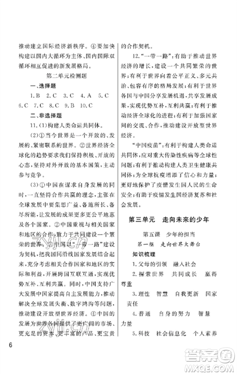 武漢出版社2023智慧學習天天向上課堂作業(yè)九年級道德與法治下冊人教版參考答案