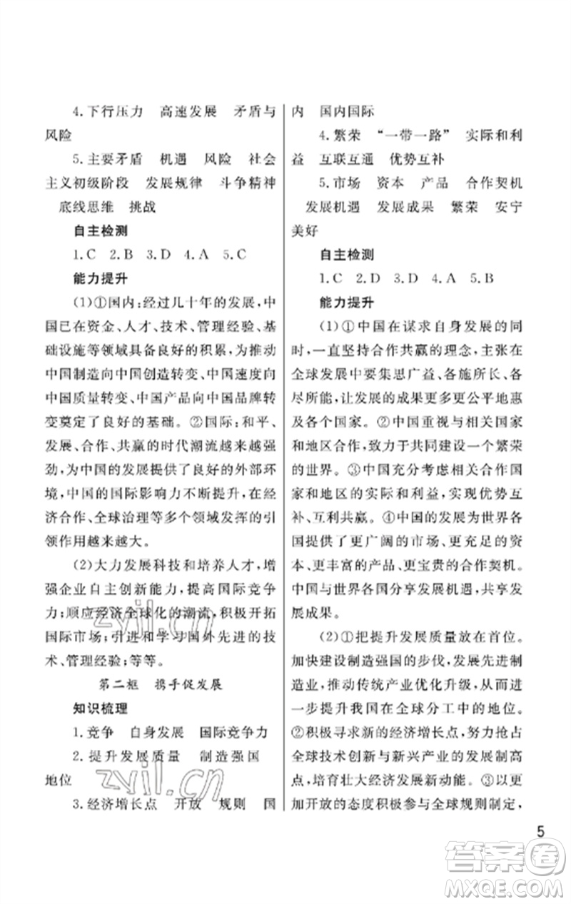 武漢出版社2023智慧學習天天向上課堂作業(yè)九年級道德與法治下冊人教版參考答案