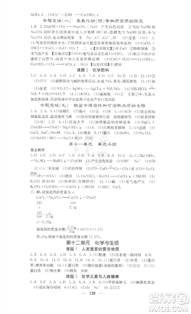 四川大學(xué)出版社2023課堂點(diǎn)睛九年級化學(xué)下冊人教版參考答案