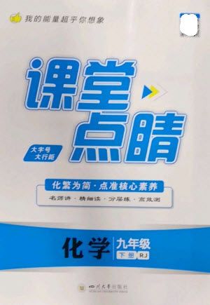 四川大學(xué)出版社2023課堂點(diǎn)睛九年級化學(xué)下冊人教版參考答案