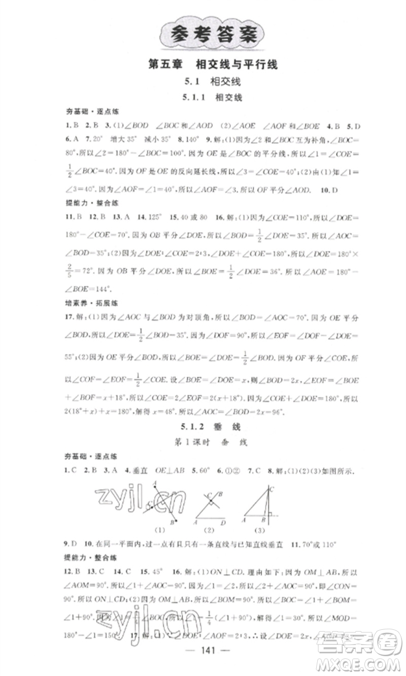 江西教育出版社2023精英新課堂三點(diǎn)分層作業(yè)七年級(jí)數(shù)學(xué)下冊(cè)人教版參考答案