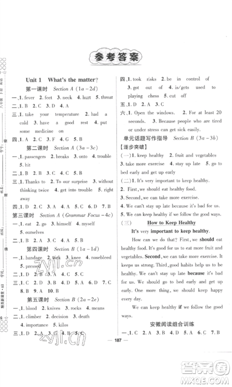 陽(yáng)光出版社2023精英新課堂八年級(jí)英語(yǔ)下冊(cè)人教版安徽專(zhuān)版參考答案