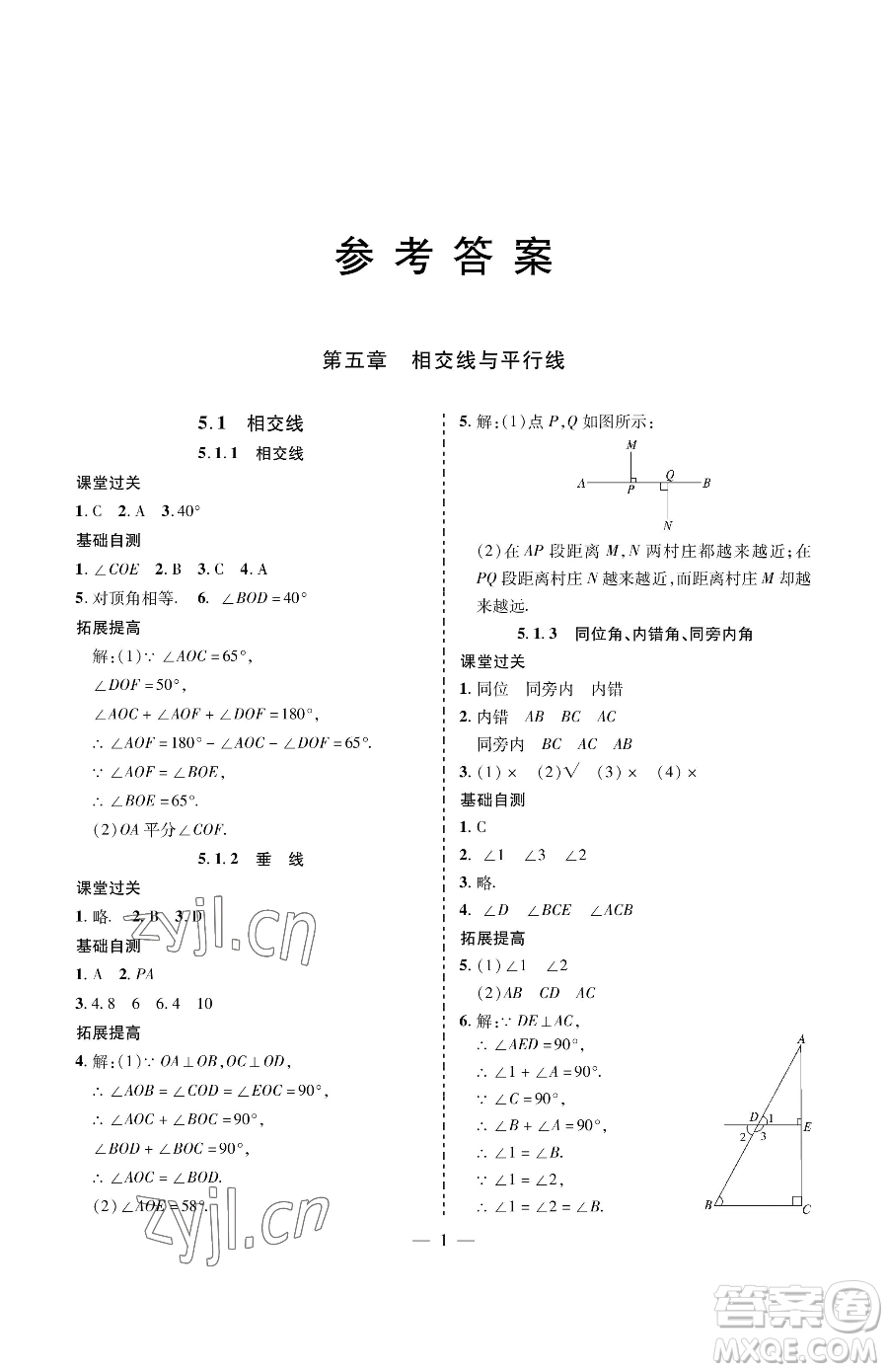 青島出版社2023新課堂同步學(xué)習(xí)與探究七年級下冊數(shù)學(xué)人教版金鄉(xiāng)專版參考答案