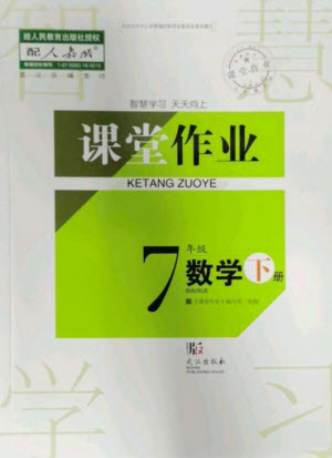 武漢出版社2023智慧學(xué)習(xí)天天向上課堂作業(yè)七年級(jí)數(shù)學(xué)下冊(cè)人教版參考答案