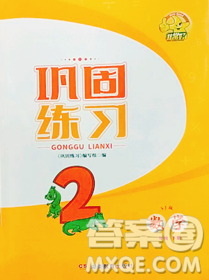 湖南教育出版社2023鞏固練習(xí)二年級(jí)下冊(cè)數(shù)學(xué)蘇教版參考答案