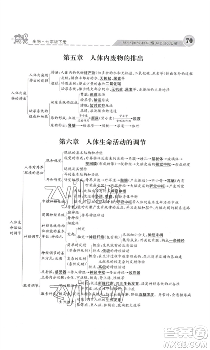 四川大學(xué)出版社2023課堂點(diǎn)睛七年級(jí)生物下冊(cè)人教版參考答案