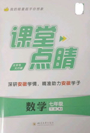 四川大學出版社2023課堂點睛七年級數(shù)學下冊人教版安徽專版參考答案