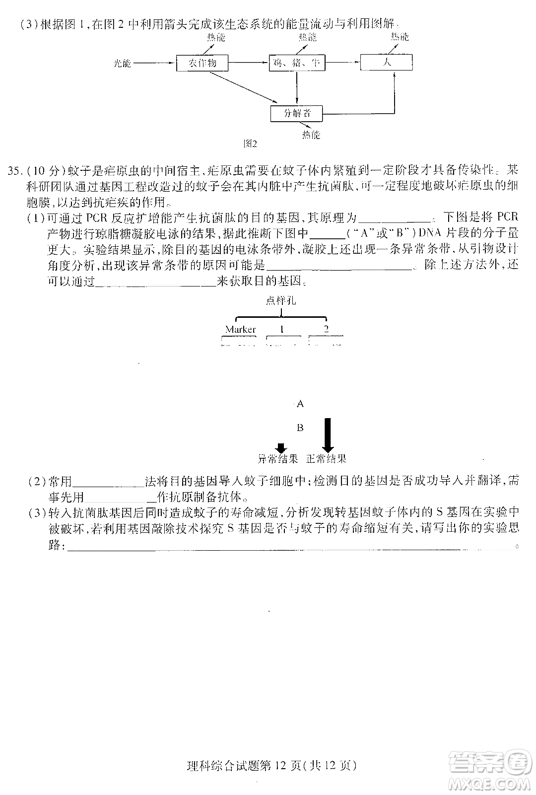 哈師大附中2023年高三第三次模擬考試?yán)砜凭C合能力測試試卷答案