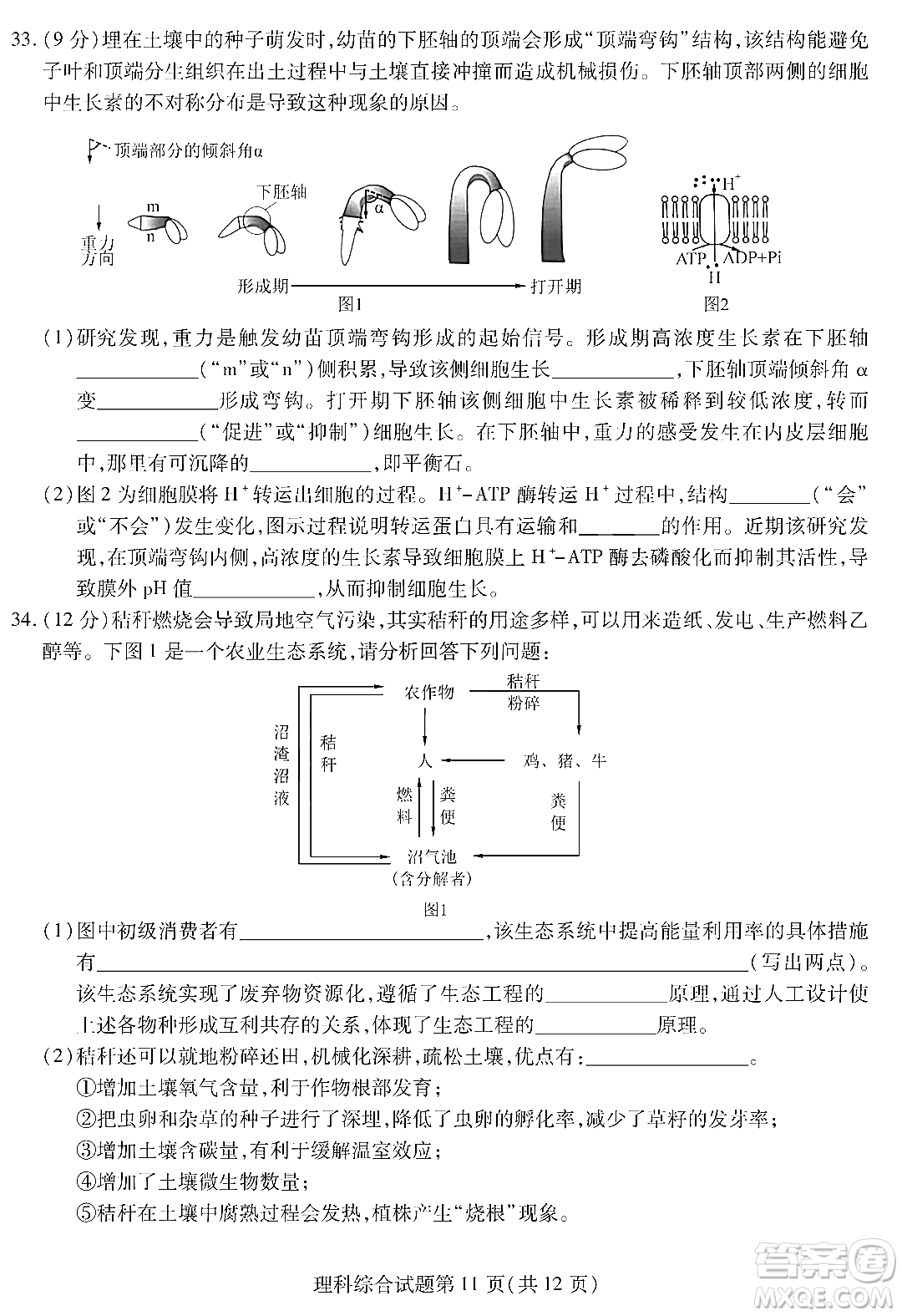 哈師大附中2023年高三第三次模擬考試?yán)砜凭C合能力測試試卷答案