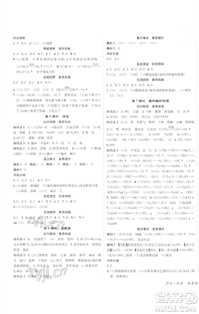 長江出版社2023中考復習總動員九年級化學通用版瀘州專版參考答案