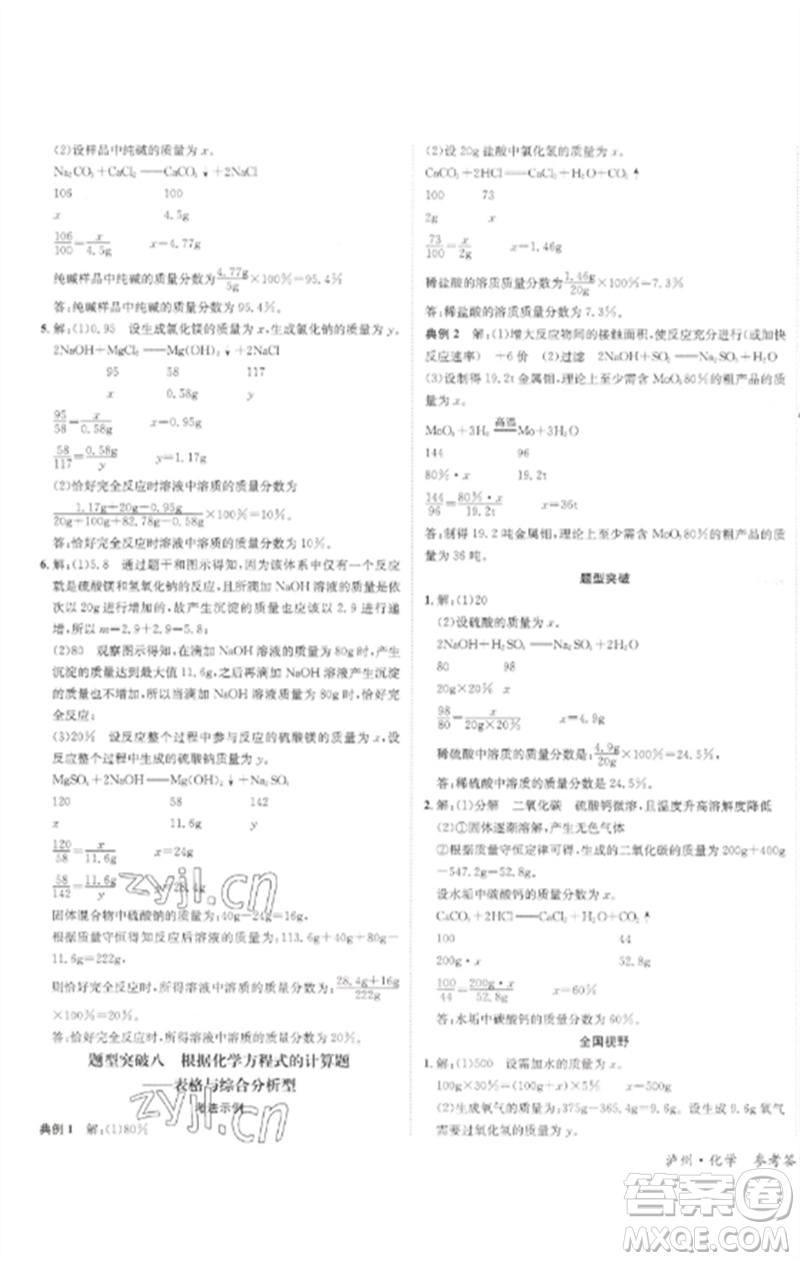 長江出版社2023中考復習總動員九年級化學通用版瀘州專版參考答案