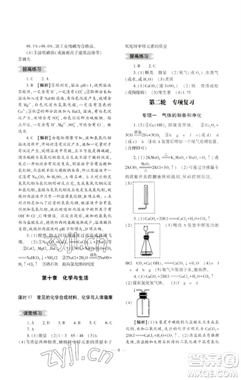 大象出版社2023中考復習精講與測試九年級化學通用版參考答案