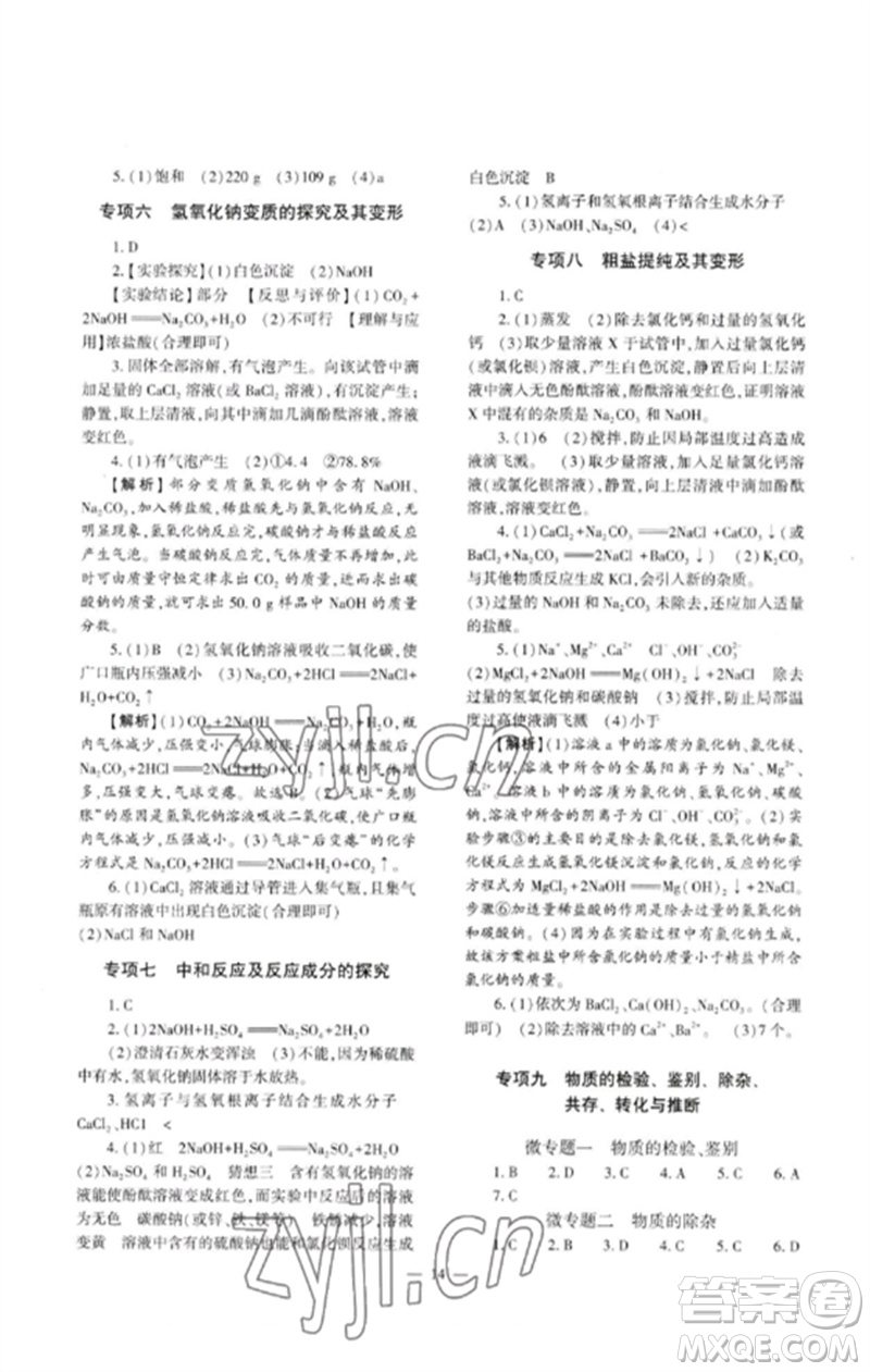 大象出版社2023中考復習精講與測試九年級化學通用版參考答案