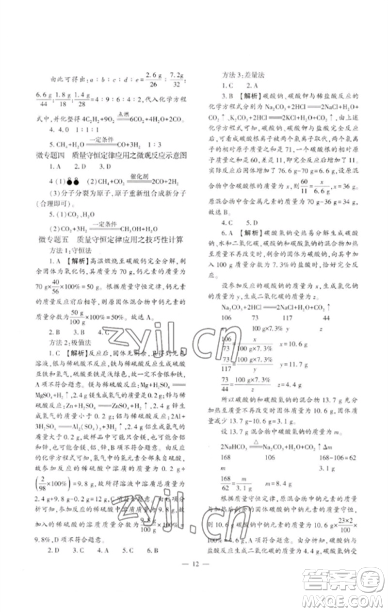 大象出版社2023中考復習精講與測試九年級化學通用版參考答案