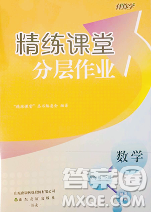 山東友誼出版社2023精練課堂分層作業(yè)八年級(jí)下冊(cè)數(shù)學(xué)人教版臨沂專版參考答案