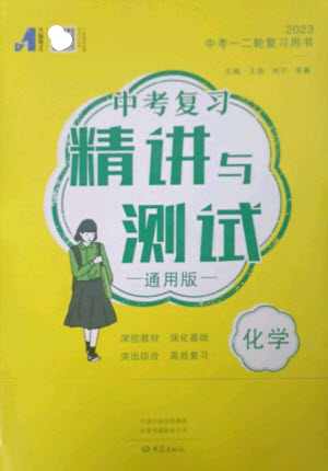 大象出版社2023中考復習精講與測試九年級化學通用版參考答案