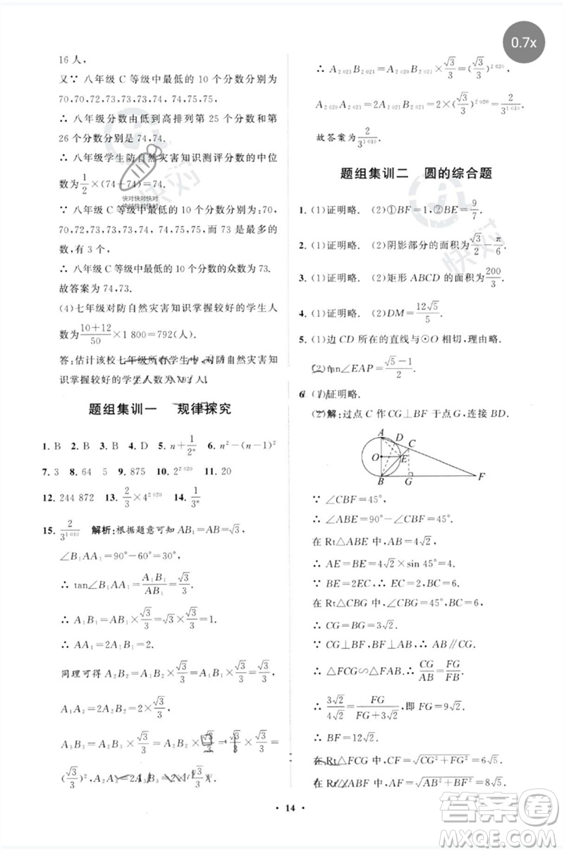 山東教育出版社2023初中總復(fù)習(xí)手冊(cè)分層專題卷九年級(jí)數(shù)學(xué)五四制通用版煙臺(tái)專版參考答案