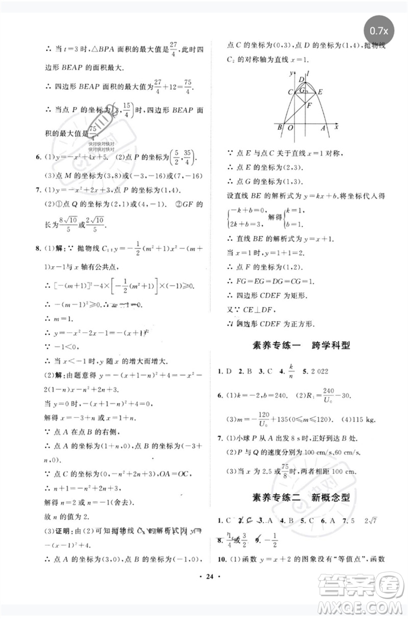 山東教育出版社2023初中總復(fù)習(xí)手冊(cè)分層專題卷九年級(jí)數(shù)學(xué)五四制通用版煙臺(tái)專版參考答案