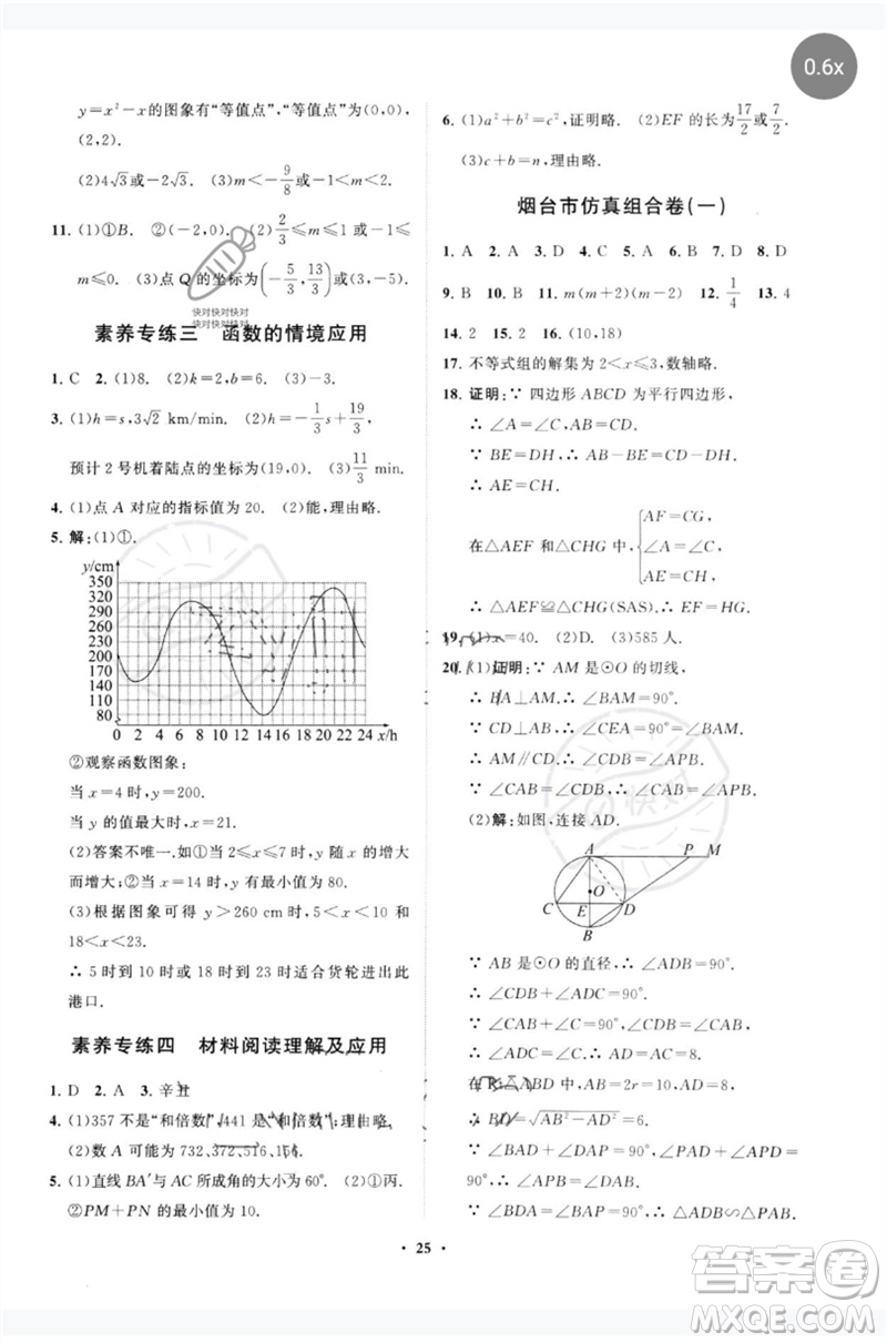 山東教育出版社2023初中總復(fù)習(xí)手冊(cè)分層專題卷九年級(jí)數(shù)學(xué)五四制通用版煙臺(tái)專版參考答案