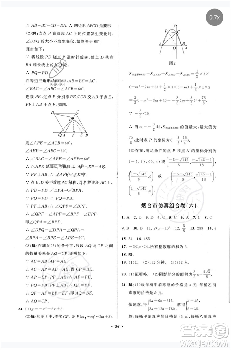 山東教育出版社2023初中總復(fù)習(xí)手冊(cè)分層專題卷九年級(jí)數(shù)學(xué)五四制通用版煙臺(tái)專版參考答案