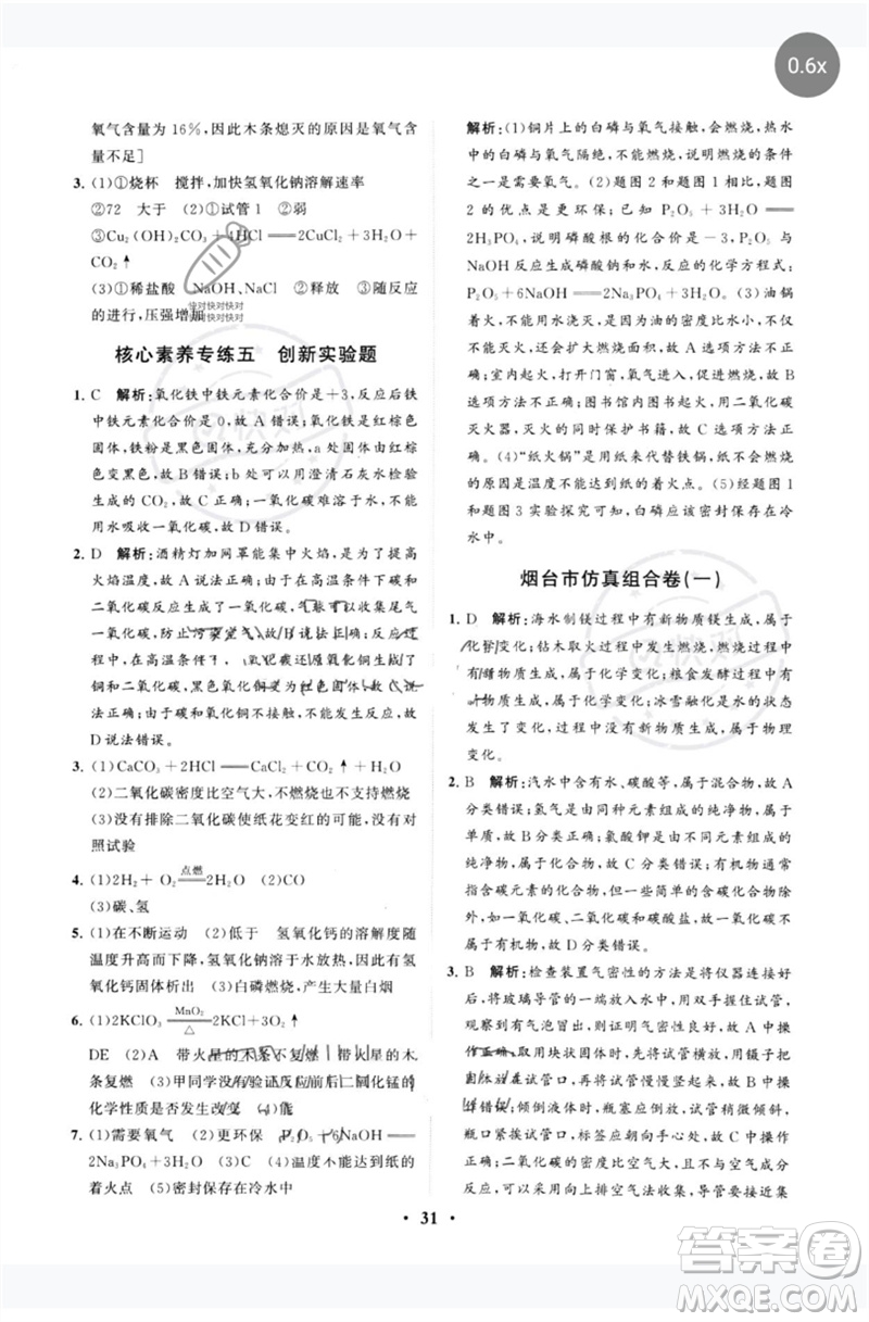 山東教育出版社2023初中總復習手冊分層專題卷九年級化學五四制通用版煙臺專版參考答案