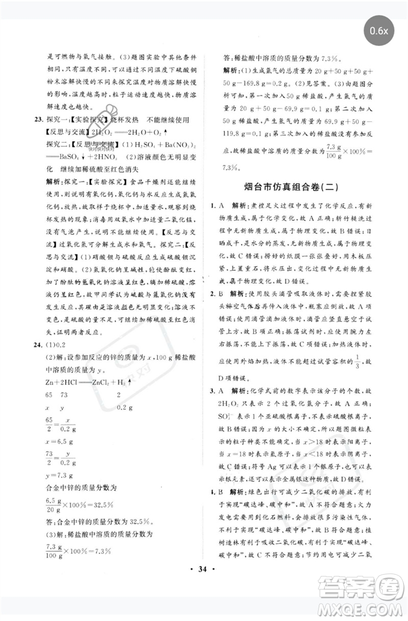 山東教育出版社2023初中總復習手冊分層專題卷九年級化學五四制通用版煙臺專版參考答案