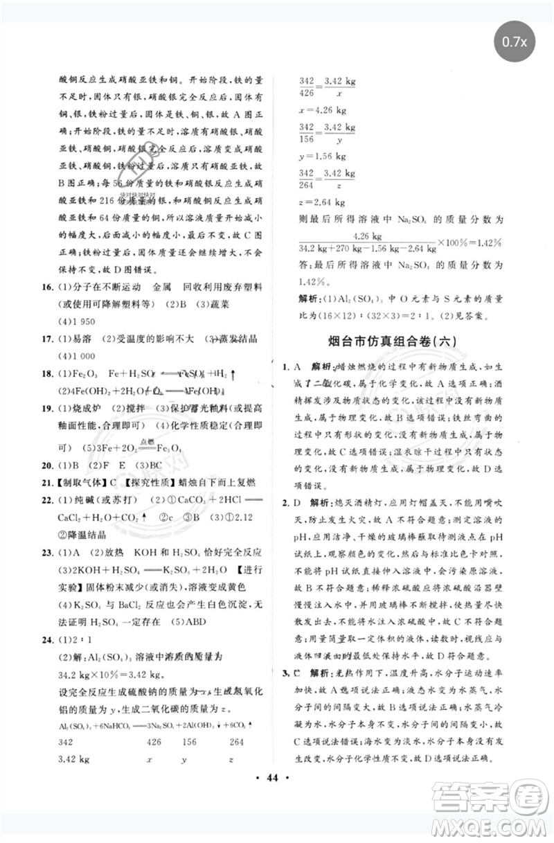 山東教育出版社2023初中總復習手冊分層專題卷九年級化學五四制通用版煙臺專版參考答案