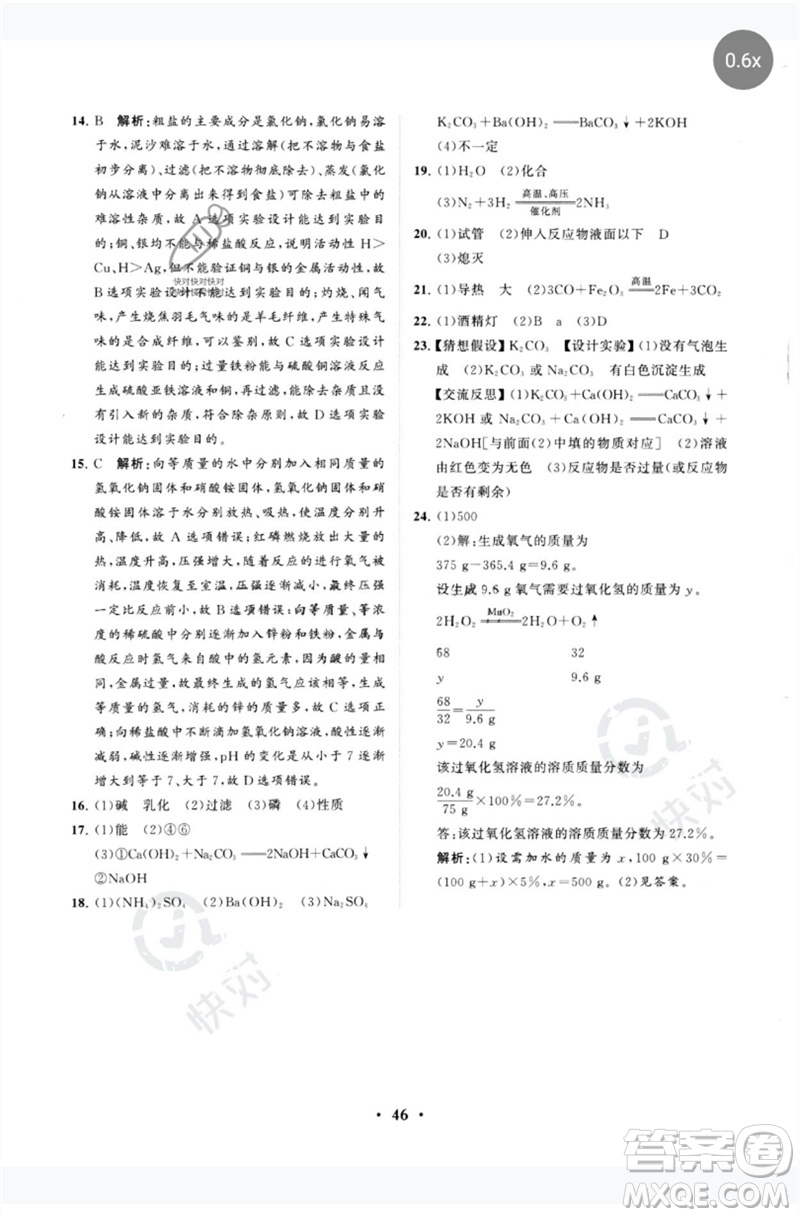 山東教育出版社2023初中總復習手冊分層專題卷九年級化學五四制通用版煙臺專版參考答案