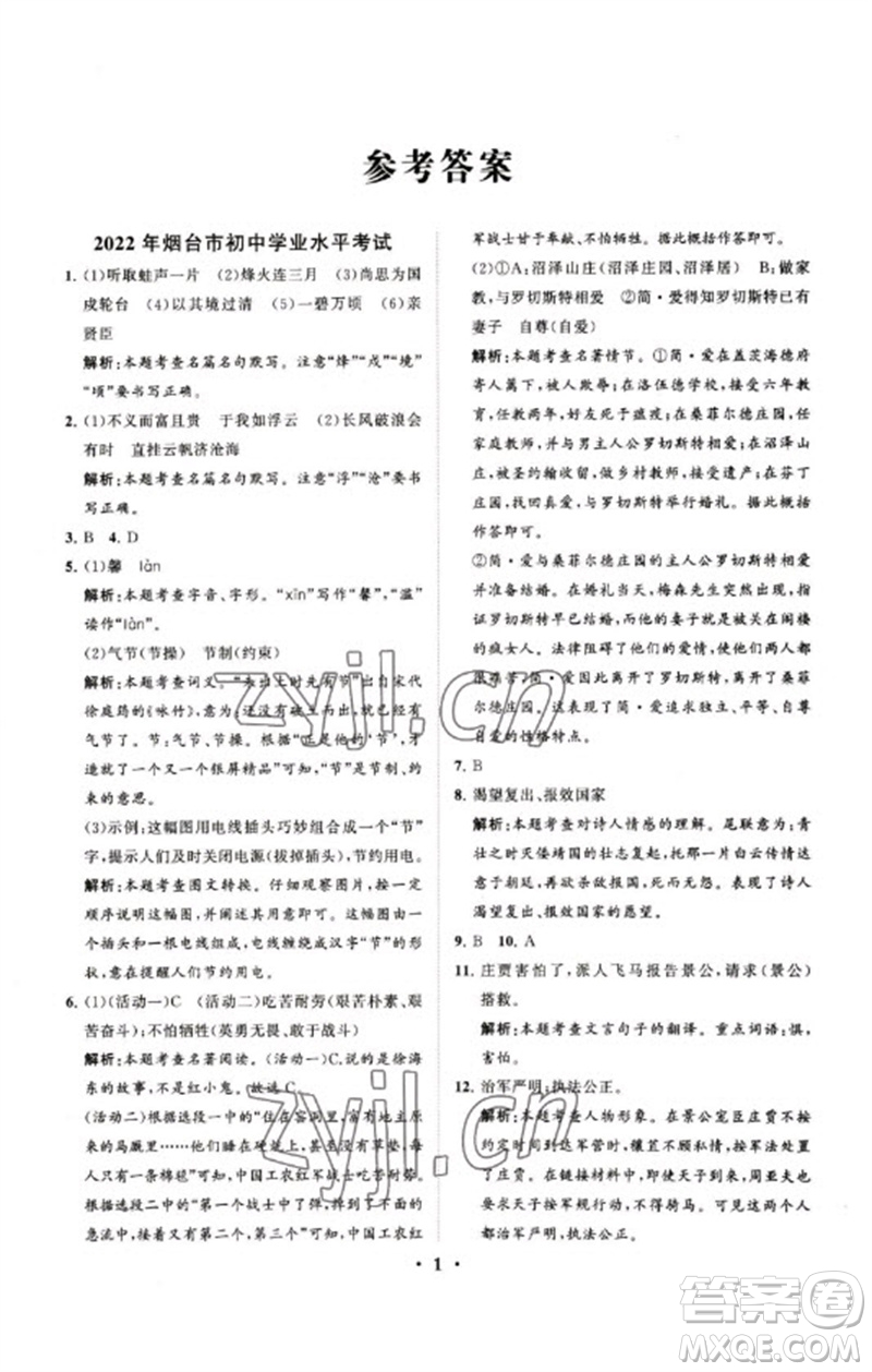 山東教育出版社2023初中總復(fù)習(xí)手冊分層專題卷九年級語文五四制通用版煙臺專版參考答案