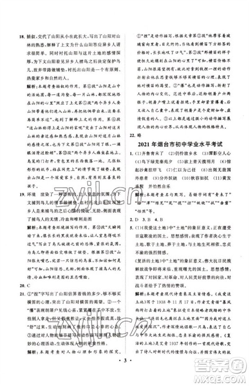 山東教育出版社2023初中總復(fù)習(xí)手冊分層專題卷九年級語文五四制通用版煙臺專版參考答案