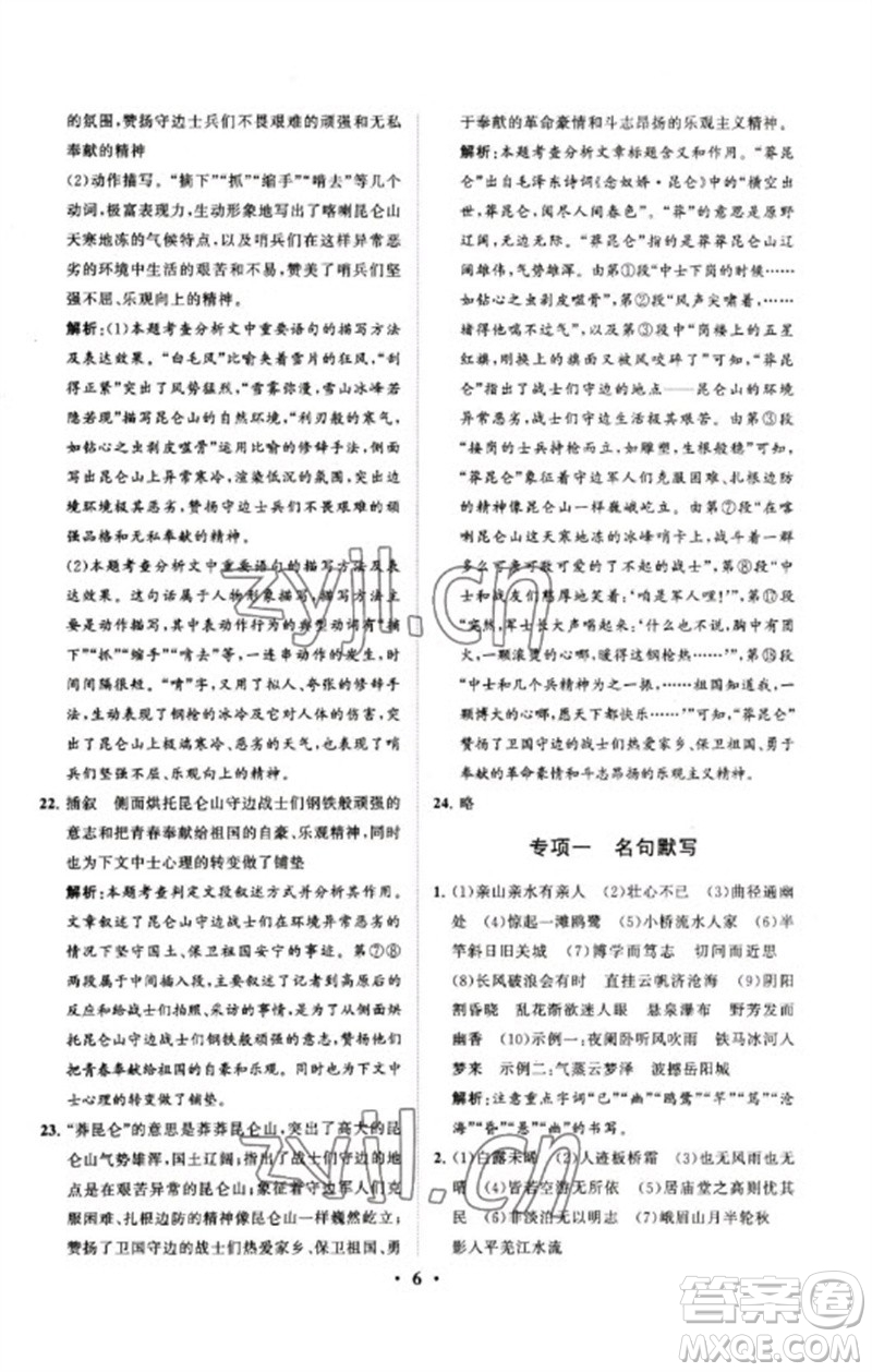 山東教育出版社2023初中總復(fù)習(xí)手冊分層專題卷九年級語文五四制通用版煙臺專版參考答案