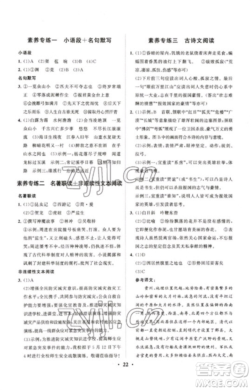 山東教育出版社2023初中總復(fù)習(xí)手冊分層專題卷九年級語文五四制通用版煙臺專版參考答案