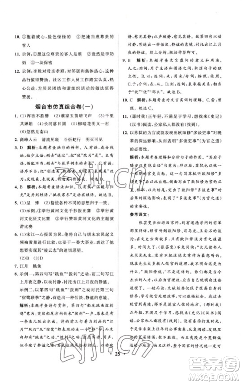 山東教育出版社2023初中總復(fù)習(xí)手冊分層專題卷九年級語文五四制通用版煙臺專版參考答案