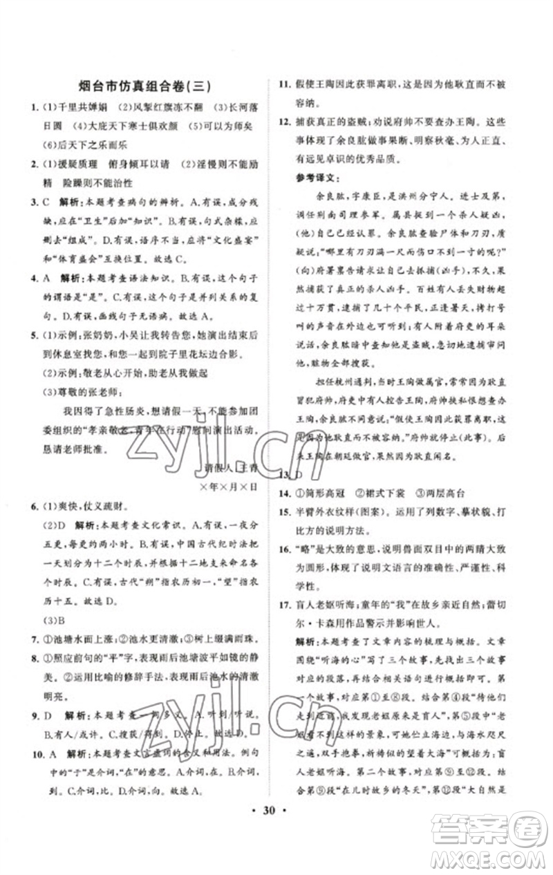 山東教育出版社2023初中總復(fù)習(xí)手冊分層專題卷九年級語文五四制通用版煙臺專版參考答案