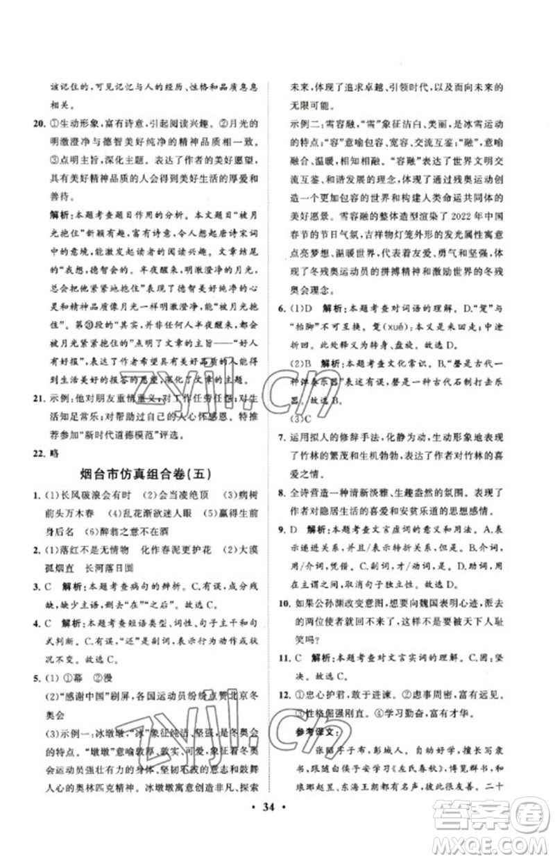 山東教育出版社2023初中總復(fù)習(xí)手冊分層專題卷九年級語文五四制通用版煙臺專版參考答案