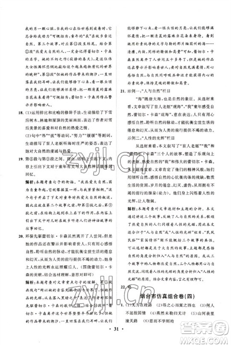 山東教育出版社2023初中總復(fù)習(xí)手冊分層專題卷九年級語文五四制通用版煙臺專版參考答案