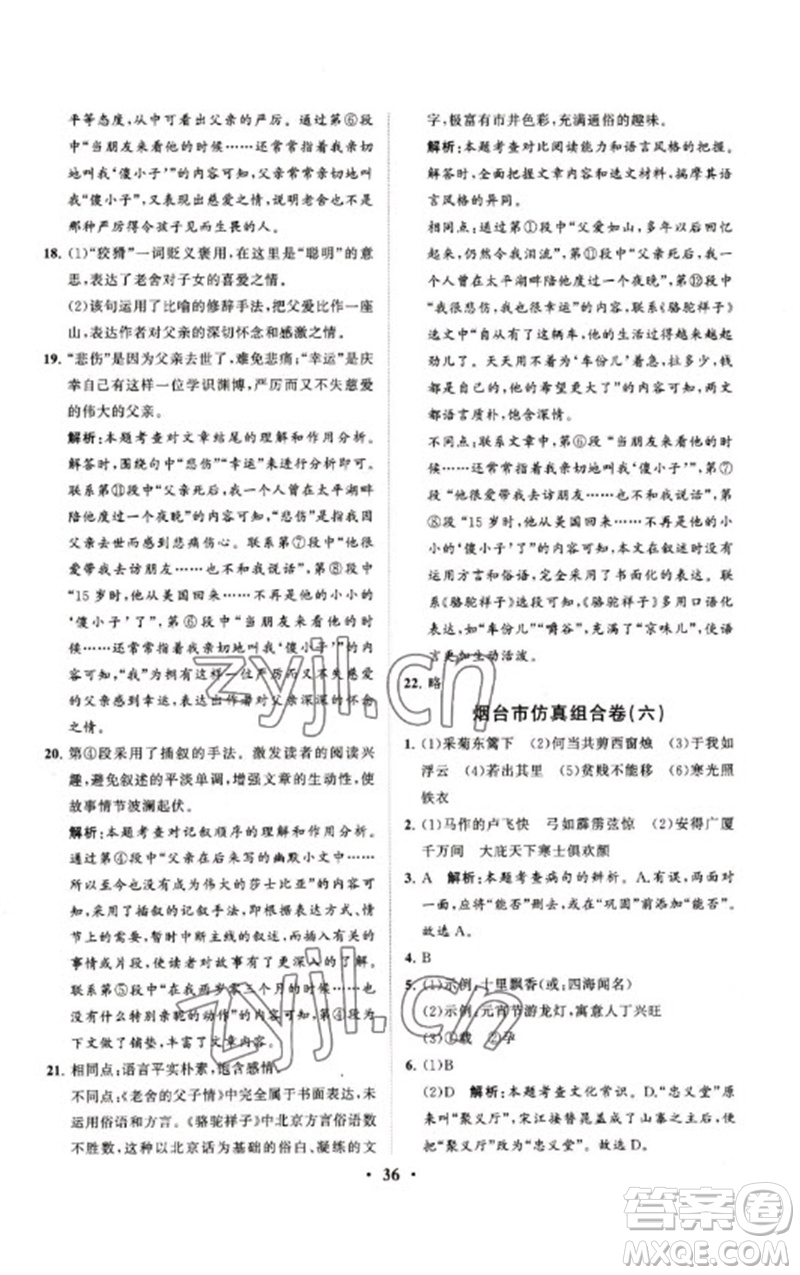 山東教育出版社2023初中總復(fù)習(xí)手冊分層專題卷九年級語文五四制通用版煙臺專版參考答案