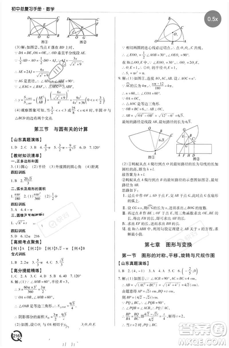 青島出版社2023初中總復(fù)習(xí)手冊(cè)九年級(jí)數(shù)學(xué)通用版參考答案