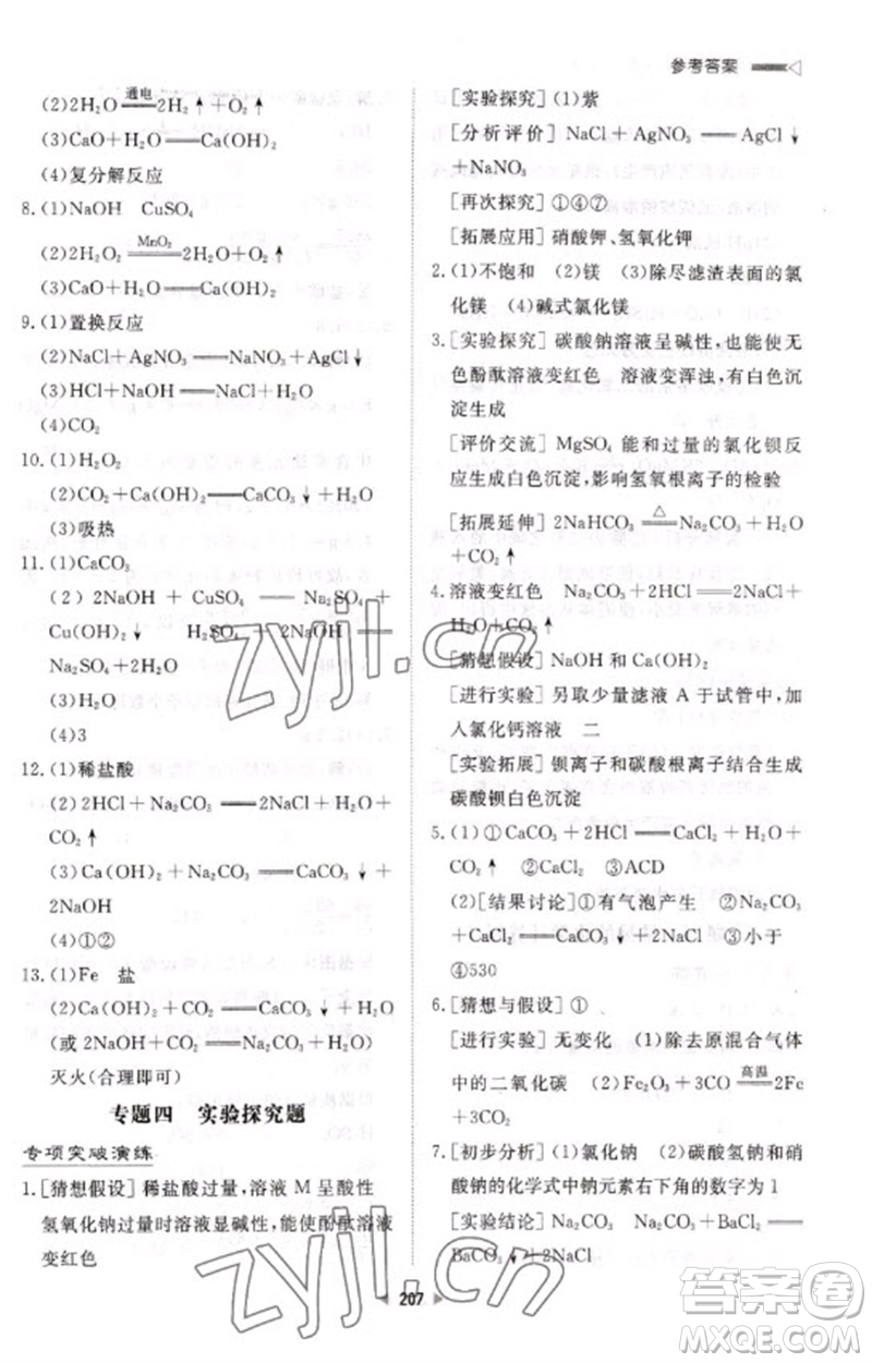 新世紀出版社2023初中總復習手冊九年級化學通用版參考答案